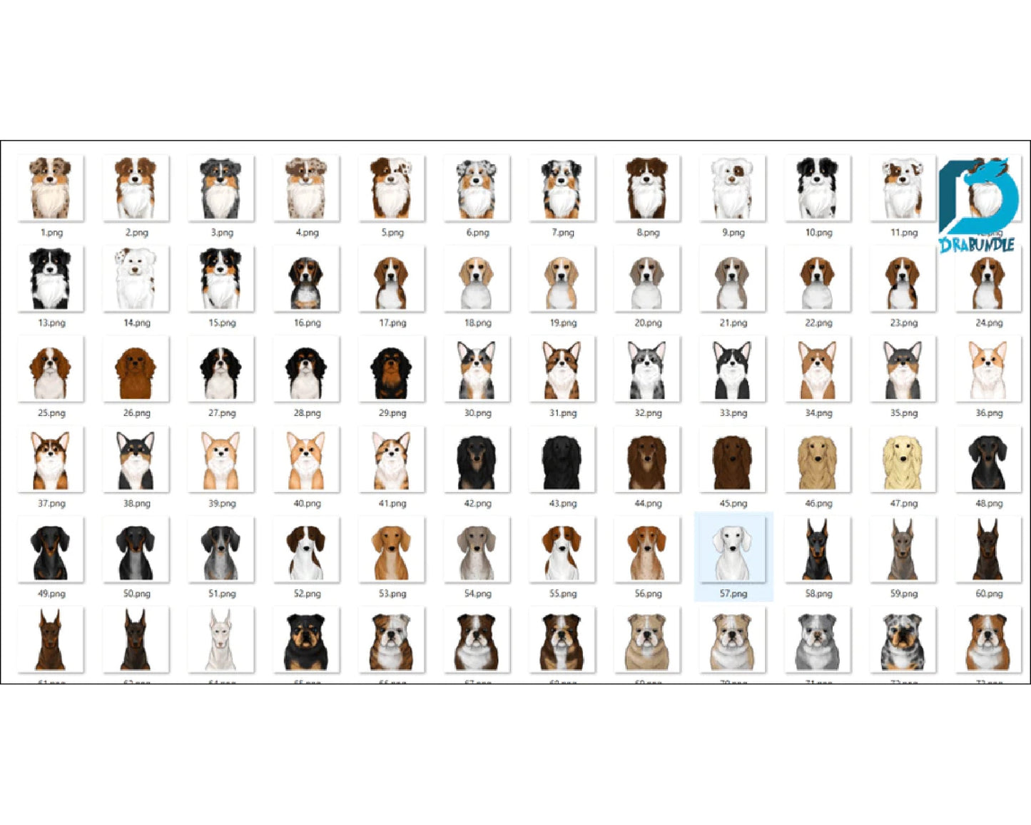190+Bundle Dog PNG Digital Dowload