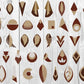 Earrings SVG Bundle - 1000+ files Earrings SVG, EPS, PNG, DXF for Cricut, Silhouette